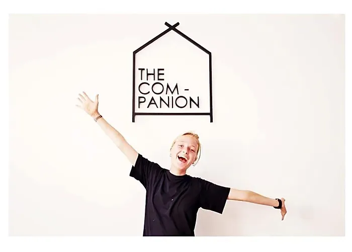 The Companion 2*